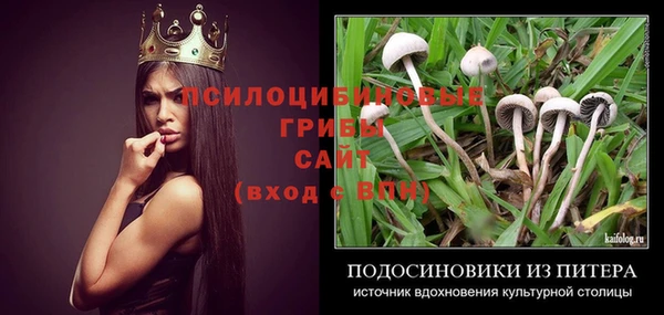 ECSTASY Арсеньев