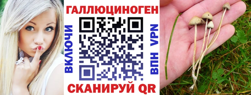 Псилоцибиновые грибы мицелий  блэк спрут маркетплейс  Бирюсинск 